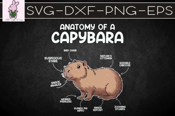 Anatomy of a Capybara Cute SVG